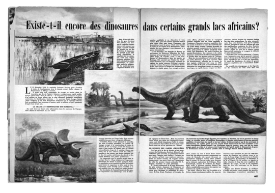 Mokele-Mbembe : Sur Les Traces Du Dernier Dinosaure by Le Comptoir