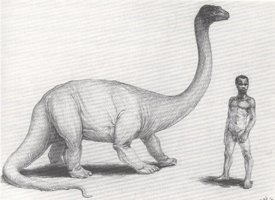 Mokele-mbembe is usually sighted in Africa countries: the Congo